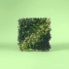 Artificial plant wall flower guardrail decoration, large cactus, decorative lawn, outdoor lawn, outdoor Specification image